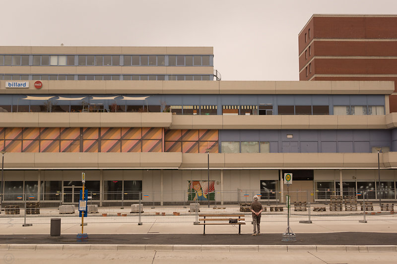 m-wiese-02223.jpg