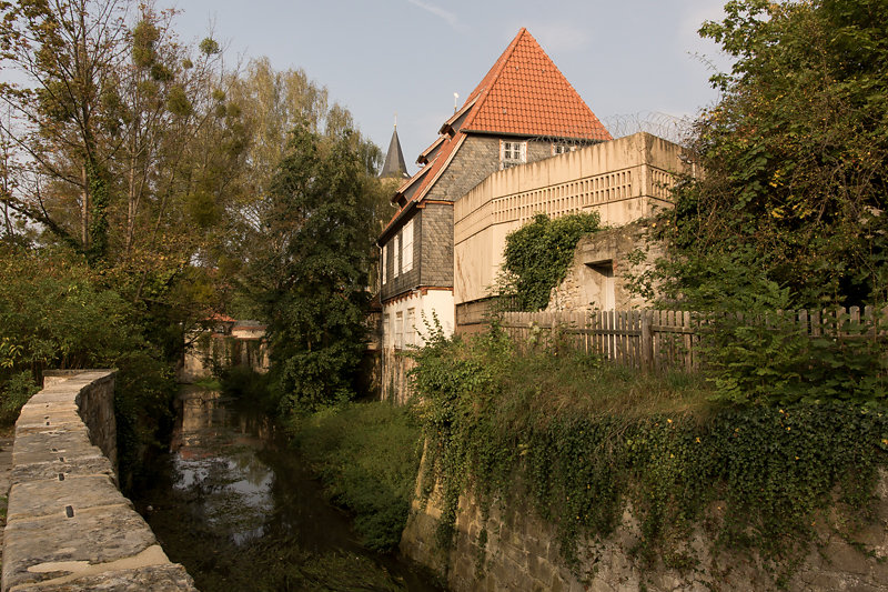 m-wiese-02428.jpg