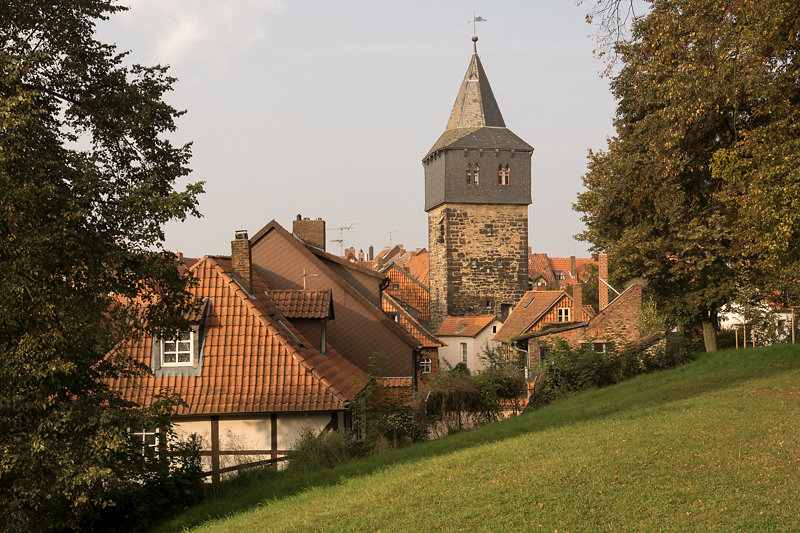 m-wiese-02434.jpg